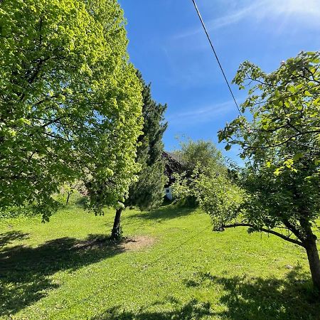 Ferienhuette Bosic Βίλα Baierdorf Εξωτερικό φωτογραφία